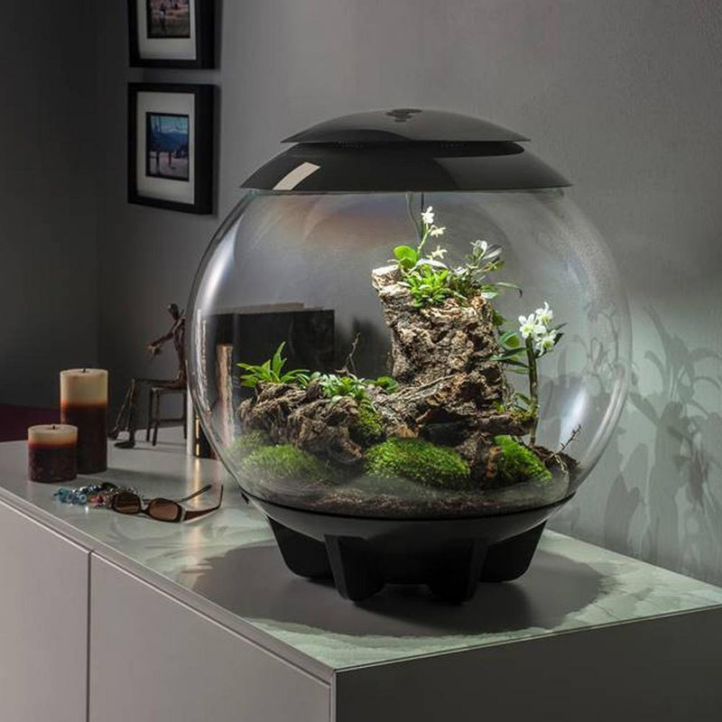 biOrb Air 60 Liter / 16 Gallon Fully Automated Terrarium with LED Lights - Gray (46148)