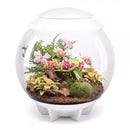 biOrb Air 60 Liter / 16 Gallon Fully Automated Terrarium with LED Lights - White (46147)