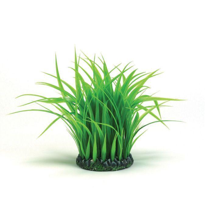 biOrb Aquarium Grass Ring - Green