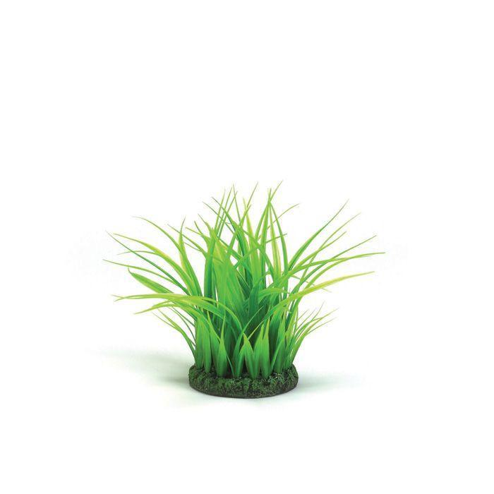 biOrb Aquarium Grass Ring - Green