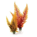 biOrb Autumn Fern Aquarium Plants - Set of 2 (46065)