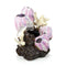 biOrb Barnacle Ornament Small - Pink (46145)