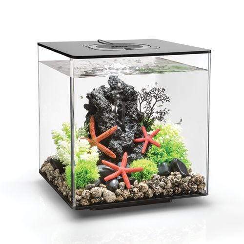 biOrb Cube 30L / 8 Gallon All-in-One Acrylic Aquarium Kit with LED Light