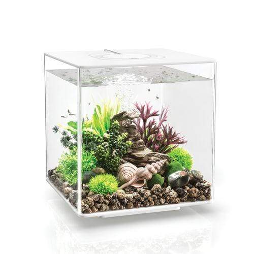 biOrb Cube 30L / 8 Gallon All-in-One Acrylic Aquarium Kit with LED Light