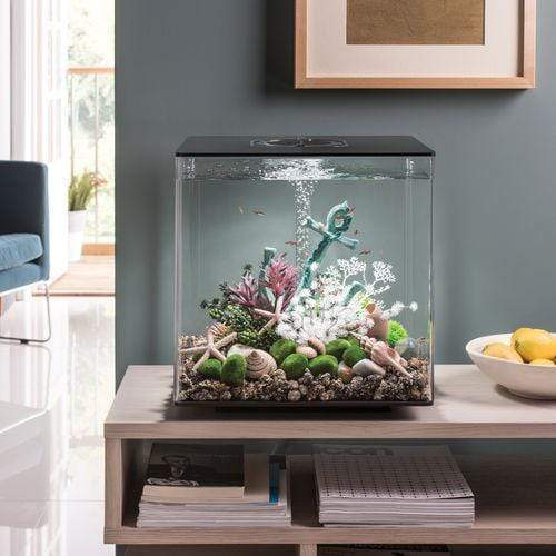 biOrb Cube 60L / 16 Gallon All-in-One Acrylic Aquarium Kit with LED Light