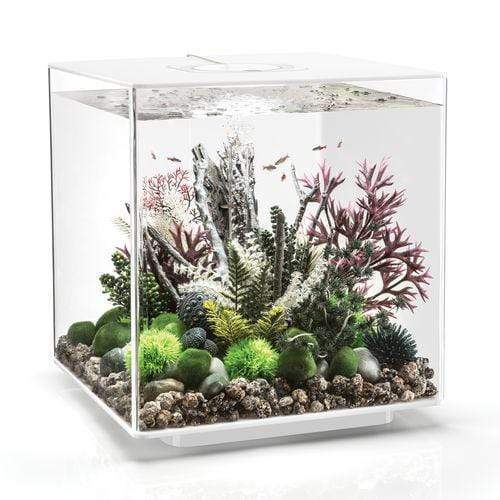 biOrb Cube 60L / 16 Gallon All-in-One Acrylic Aquarium Kit with LED Light White