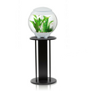 biOrb Executive Aquarium Stand for biOrb 15, 30, 60 and biUbe - Black (45988)