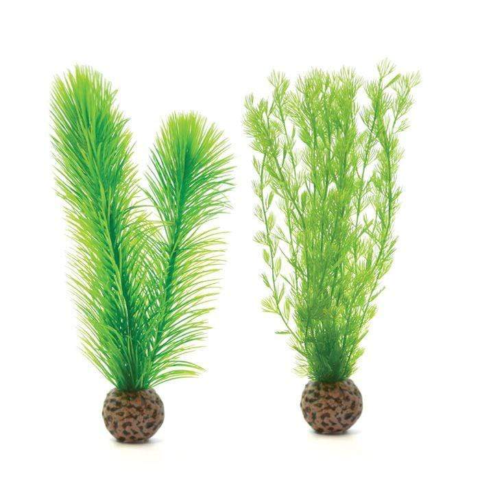 biOrb Feather Fern Set - Green (46083)