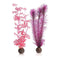 biOrb Kelp Aquarium Plants - Pink