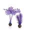 biOrb Kelp Aquarium Plants - Purple