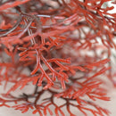 biOrb Sea Fan Aquarium Plant - Crimson