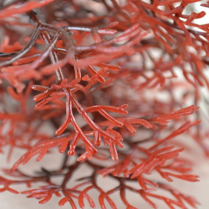 biOrb Sea Fan Aquarium Plant - Crimson