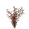 biOrb Sea Fan Aquarium Plant - Crimson