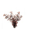 biOrb Sea Fan Aquarium Plant - Crimson