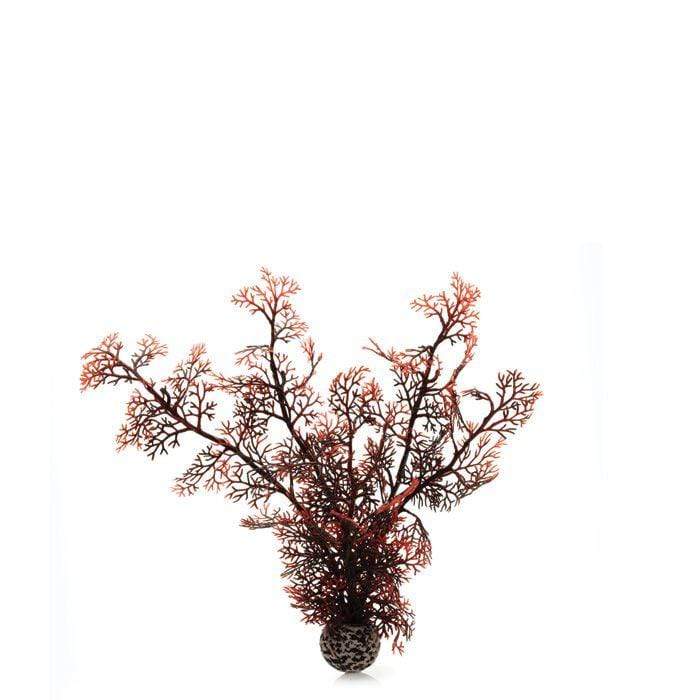 biOrb Sea Fan Aquarium Plant - Crimson