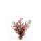 biOrb Sea Fan Aquarium Plant - Crimson