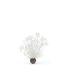 biOrb Sea Fan Aquarium Plant - White