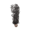 biOrb Sea Fan - Black