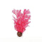 biOrb Sea Fan - Pink