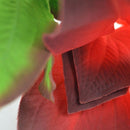 biOrb Silk Red / Green Plant Pack