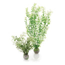 biOrb Winter Flower Aquarium Plant Pack - Set of 2 (46067)