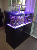 CAD Lights 75 Gallon SAIO Glass Aquarium 36” x 24” x 20” w/Cabinet (18075-SAIO)