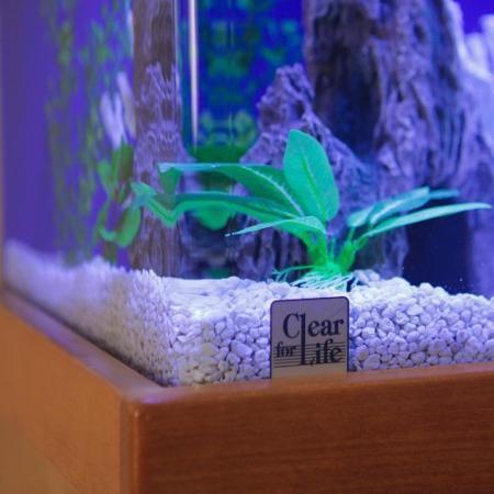 Clear for Life 60 Gallon Cube UniQuarium 3-in-1 Fresh or Saltwater Acrylic Aquarium