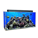 Clear for Life Rectangle 20 Gallon Acrylic Aquarium  - Fresh or Saltwater