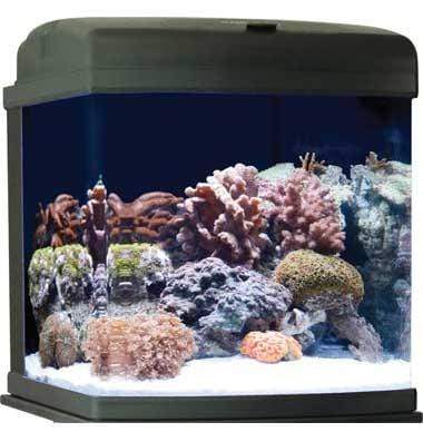 JBJ 28 Gallon Nano Cube CF Quad - All-In-One Saltwater Glass Aquarium (MT-602-LED)