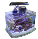 JBJ 3 Gallon PicoTope - Fresh or Saltwater Curved Glass Aquarium (MX-30)