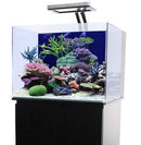 JBJ 30 Gallon Nano Cube - Fresh or Saltwater Glass Aquarium (RL-30)