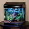 JBJ 6 Gallon Nano Cube Aquarium with (2) Nite-Vu LED Moonlights