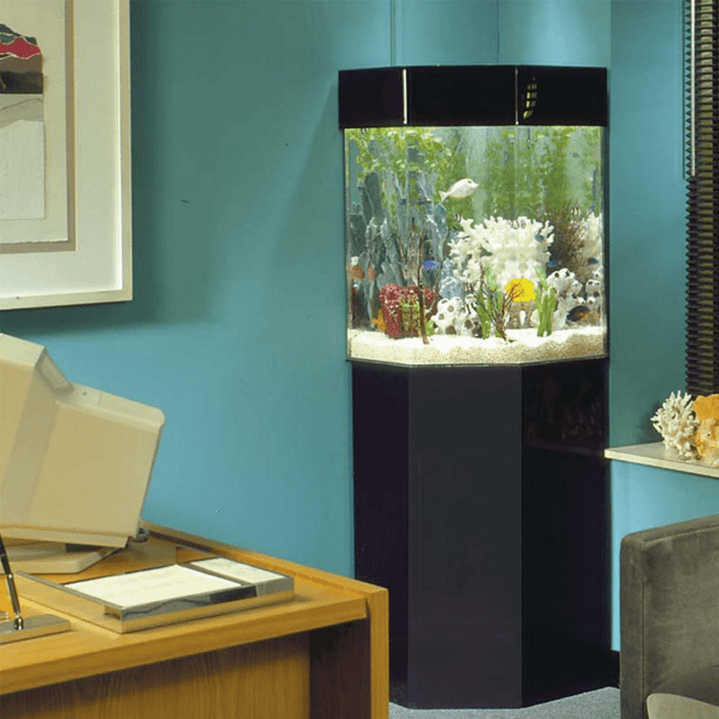 Midwest Tropical Pentaview AquaCustom Corner Aquarium - 35 Gallon Freshwater Acrylic (P-5)